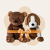 Bundle