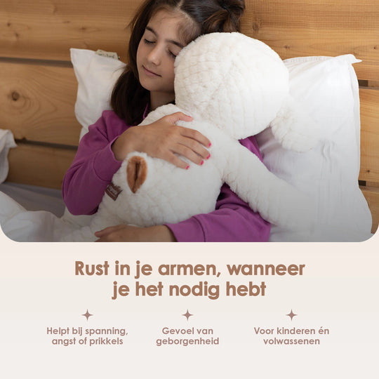 img-dutch