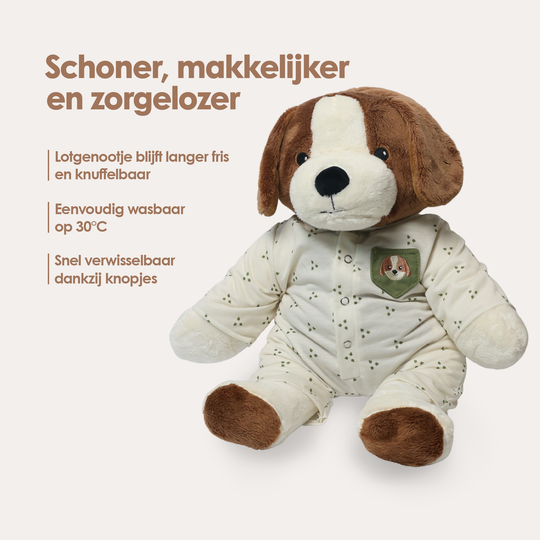 img-dutch