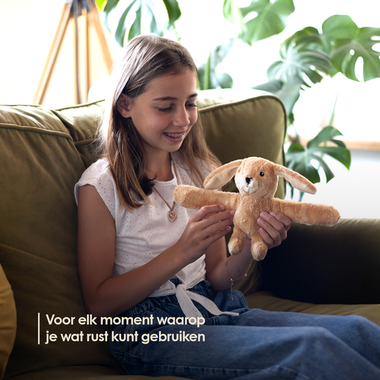 Mini Lotgenootje Rabbit