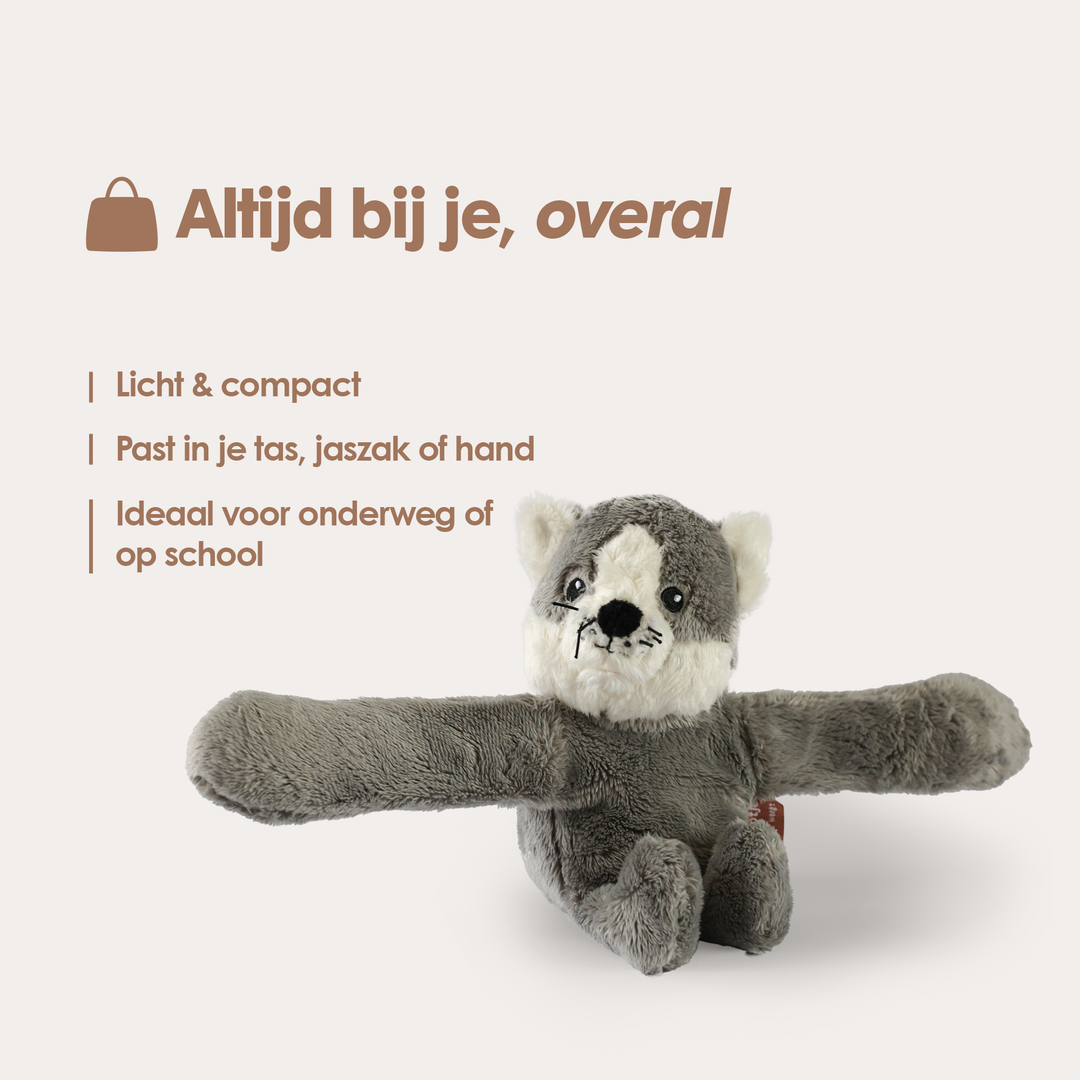 Mini Lotgenootje Cat
