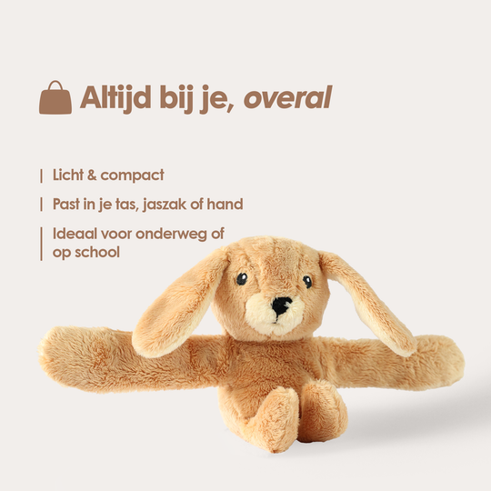 Mini &amp; Large Rabbit - You save €20
