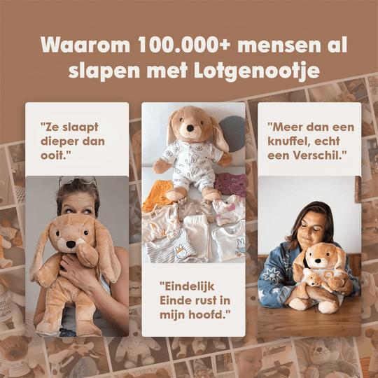img-dutch