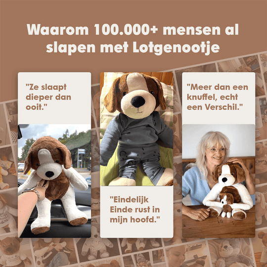 img-dutch