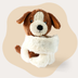 Mini Lotgenootje Dog