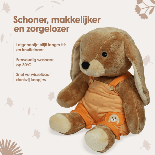 img-dutch