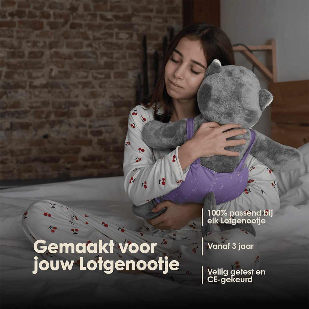 img-dutch