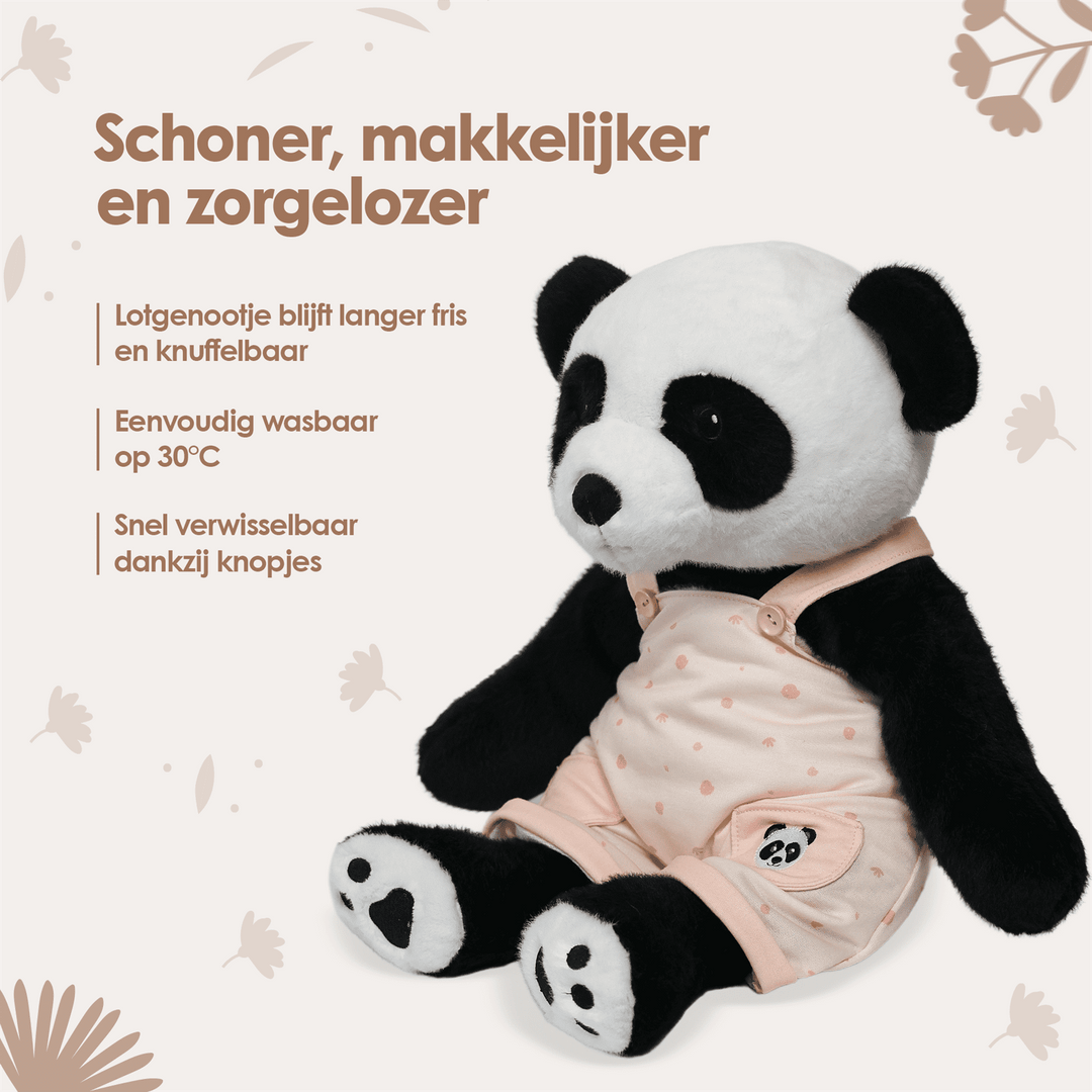 img-dutch
