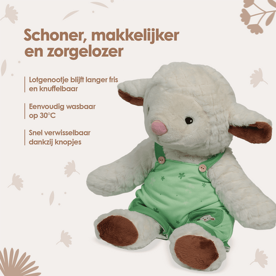 img-dutch