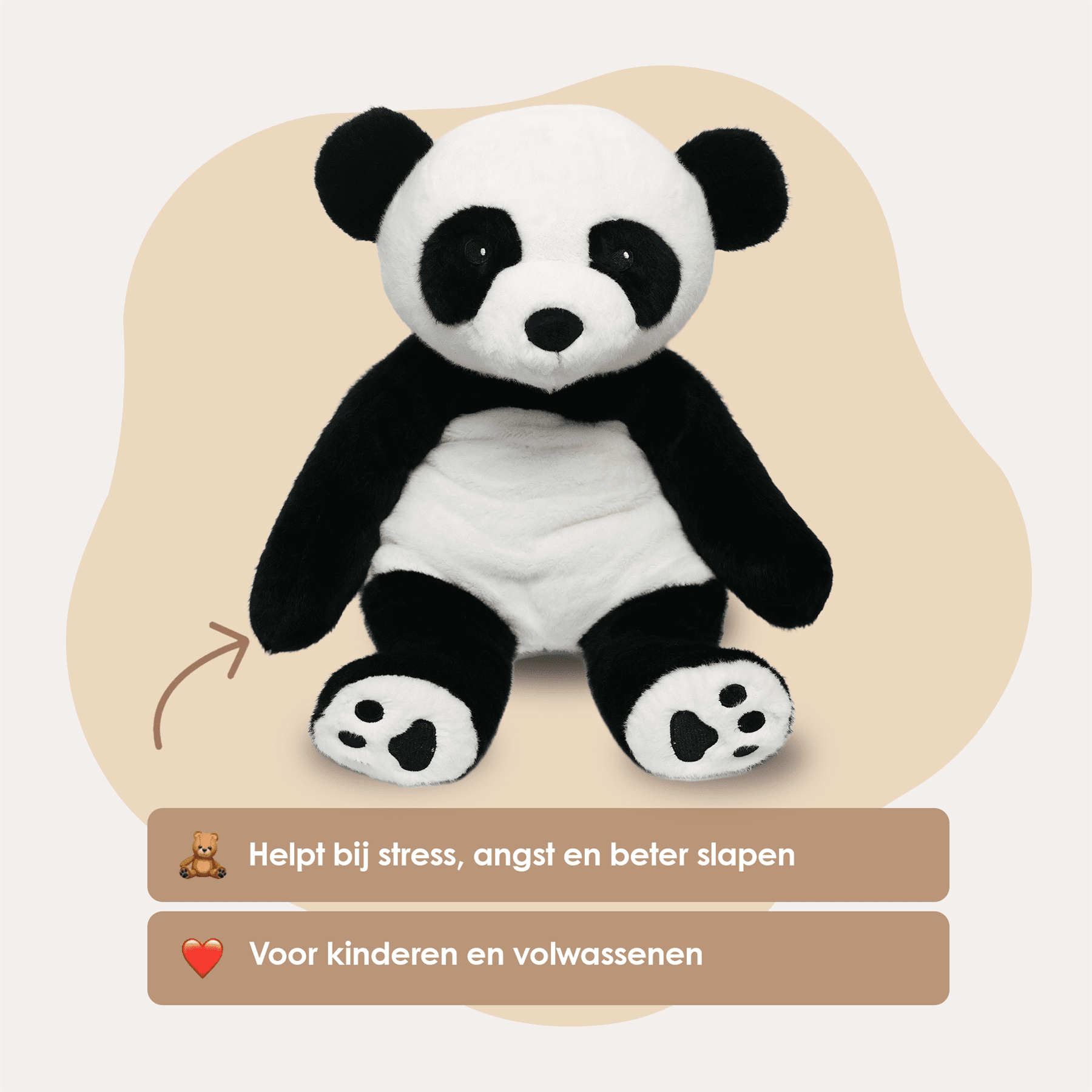 img-dutch