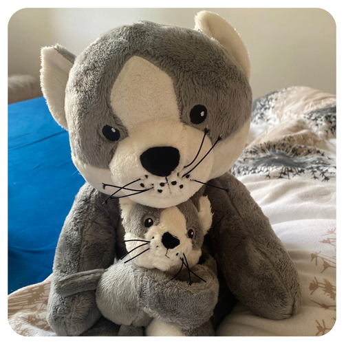 Cuddle Buddy