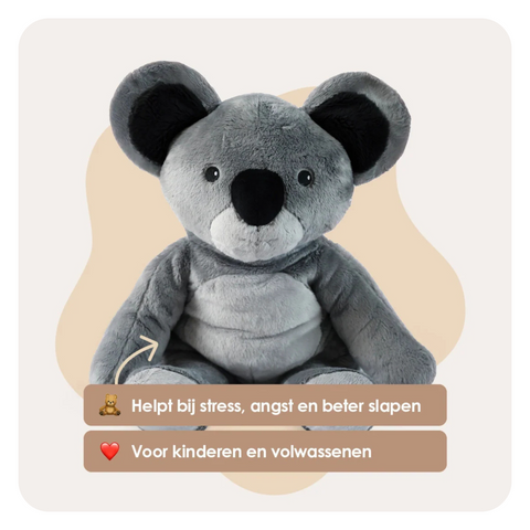 The best Lotgenootje deal β All 4 Lotgenootjes in 1 - You save β¬70