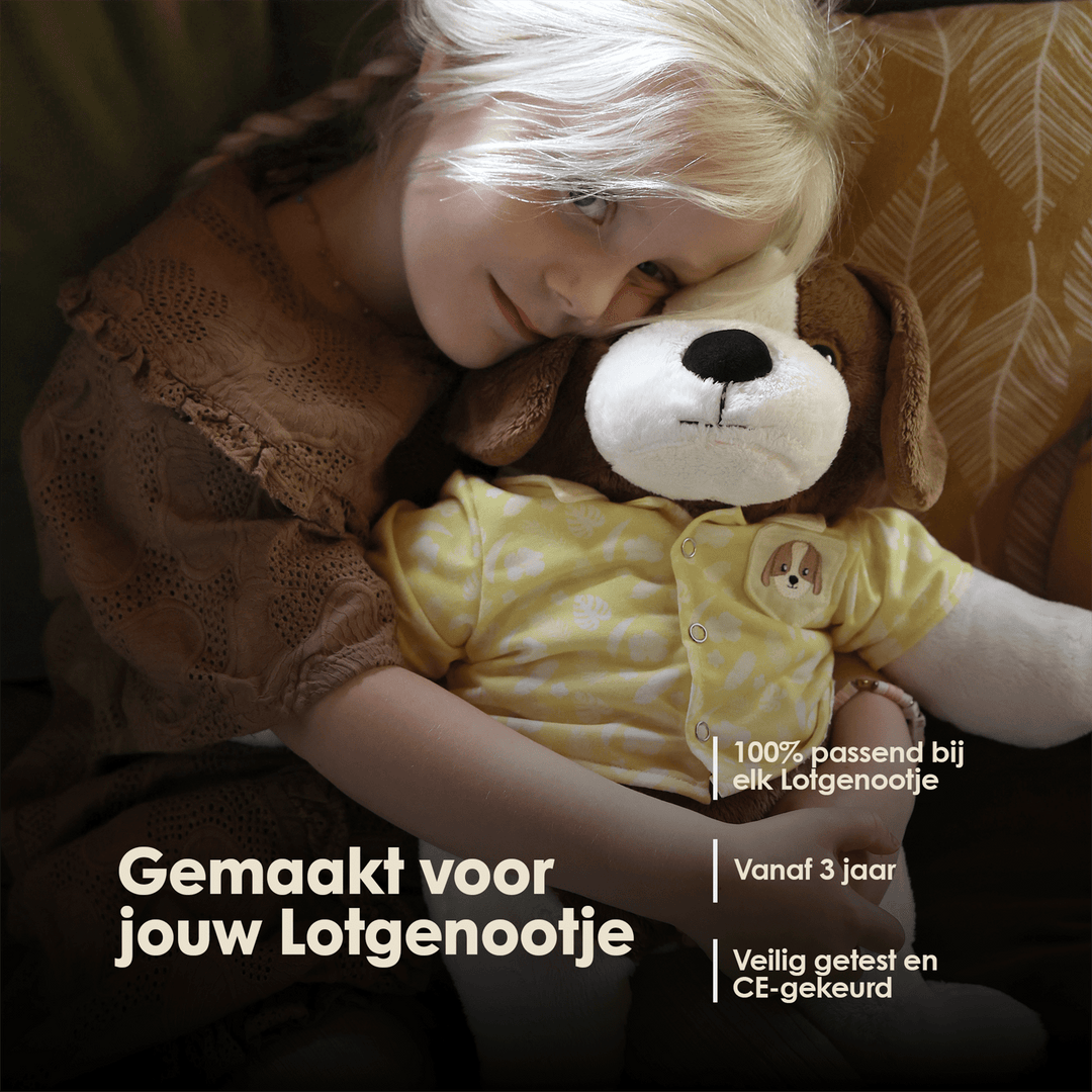 img-dutch