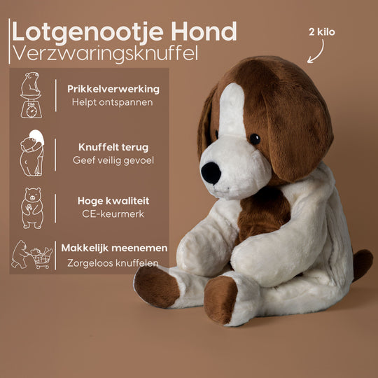 Bestseller value bundle - Bear and Dog - You save €33