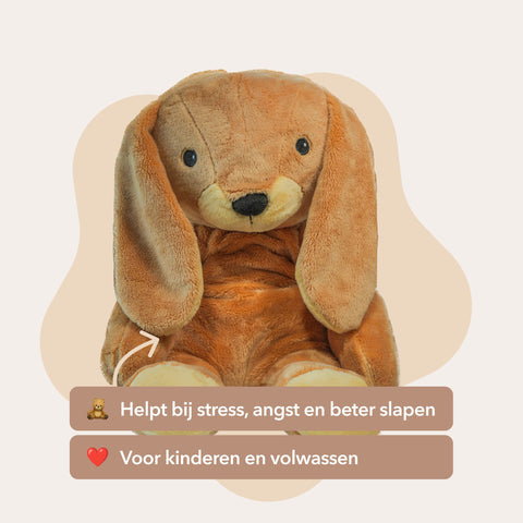 The best Lotgenootje deal β All 4 Lotgenootjes in 1 - You save β¬70