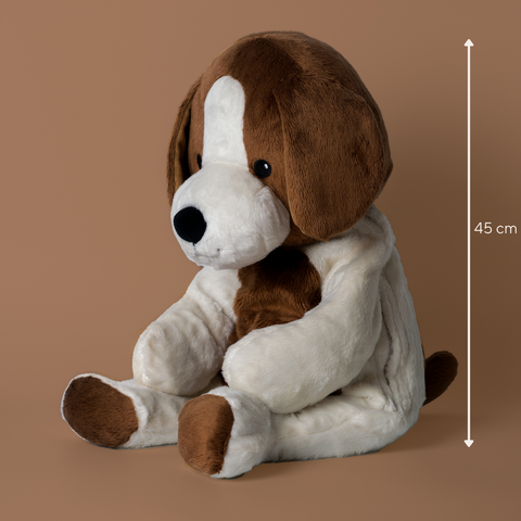 Lotgenootje Dog 2kg