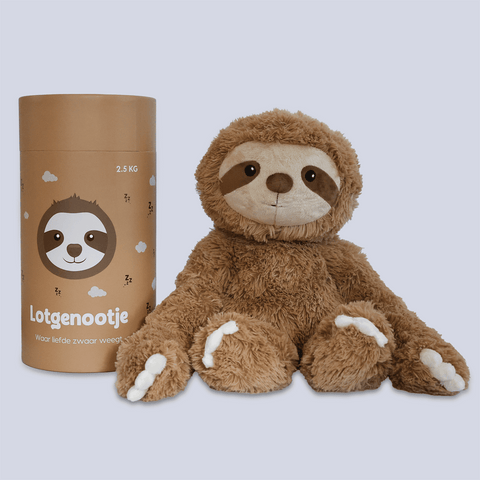 Lotgenootje Sloth 2.5kg