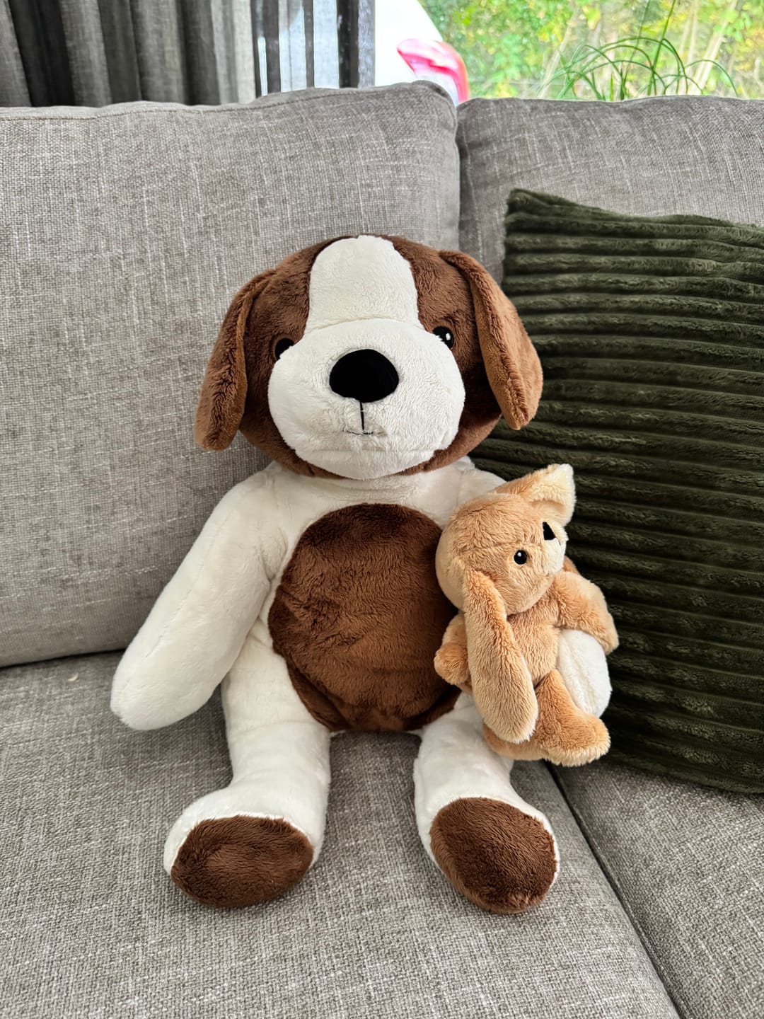 Customer photo review of Mini & Grote hond - Je bespaart €20
