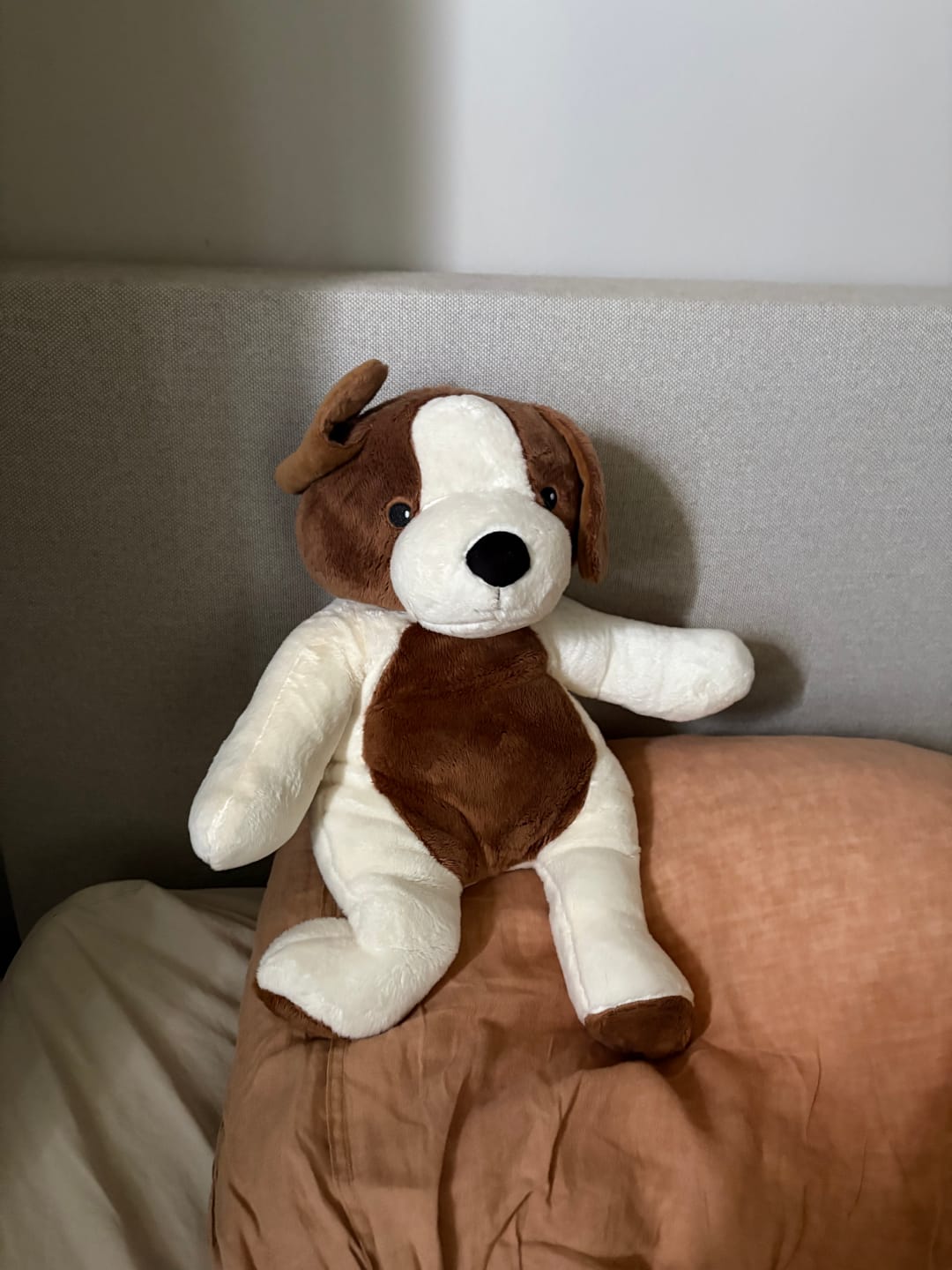 Customer photo review of Mini & Grote hond - Je bespaart €20