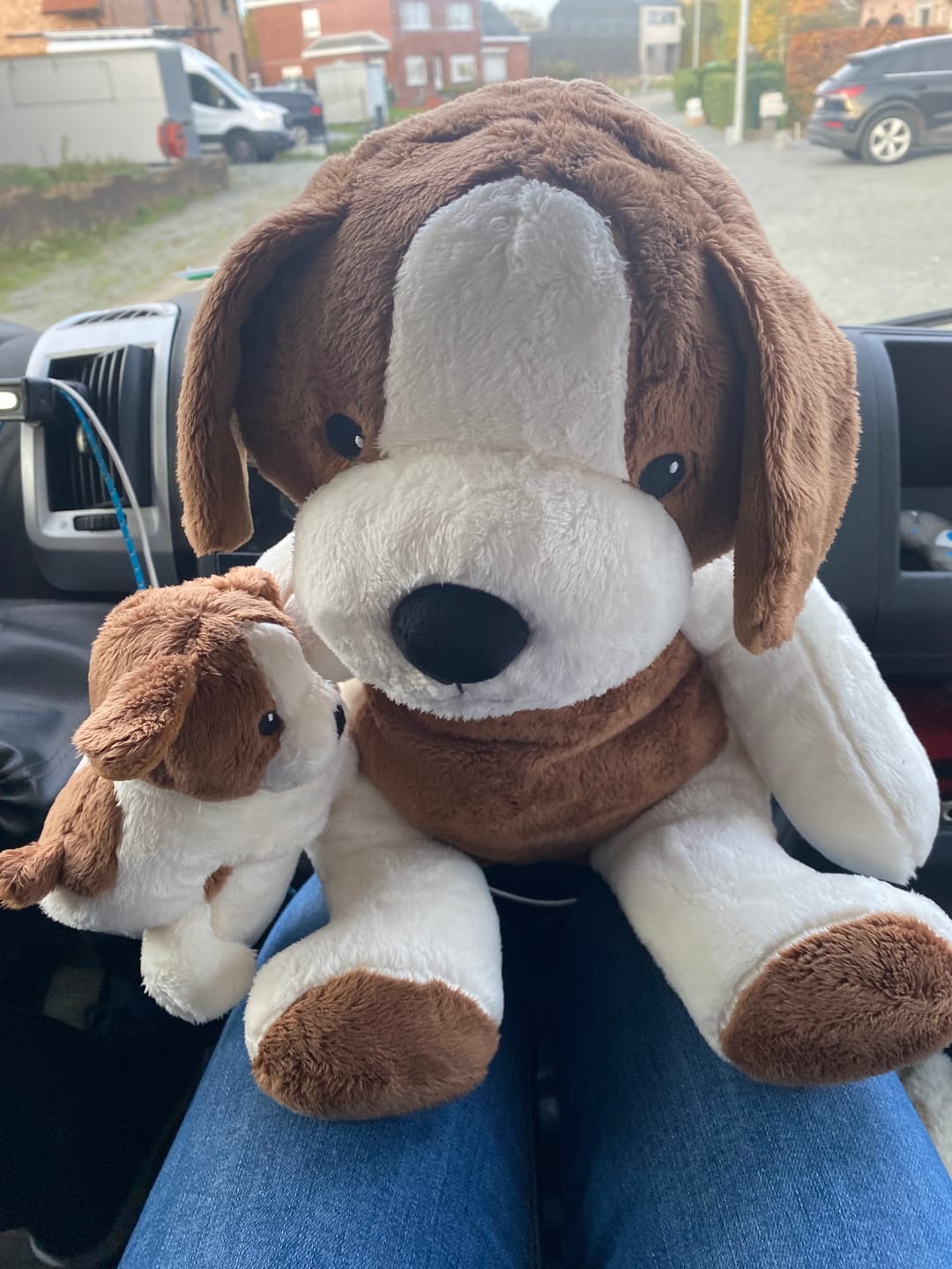 Customer photo review of Mini & Grote hond - Je bespaart €20