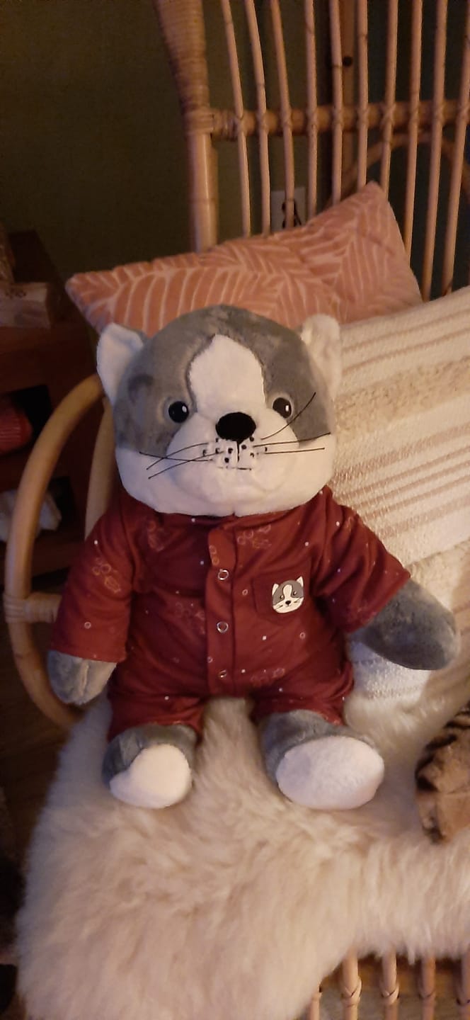 Customer photo review of Lotgenootje Kat 2kg