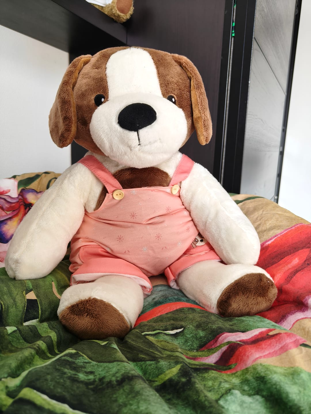 Customer photo review of Hond Kleding Lente Lotgenootje