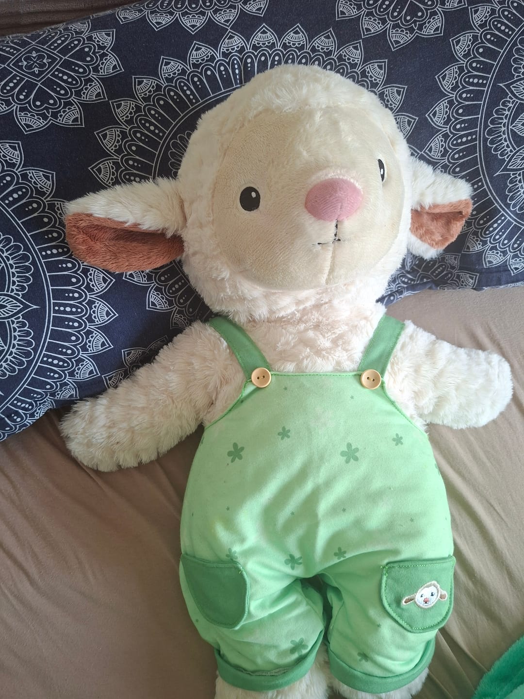 Customer photo review of Schaap Kleding Lente Lotgenootje