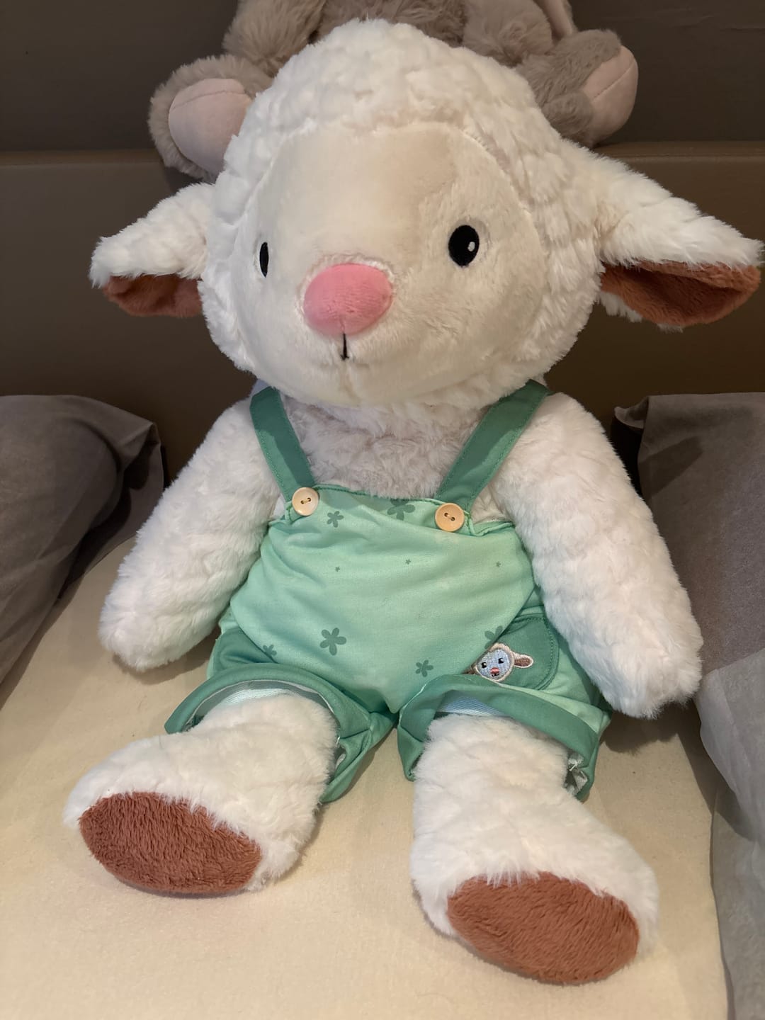 Customer photo review of Schaap Kleding Lente Lotgenootje