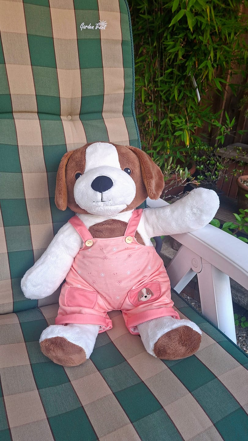 Customer photo review of Hond Kleding Lente Lotgenootje