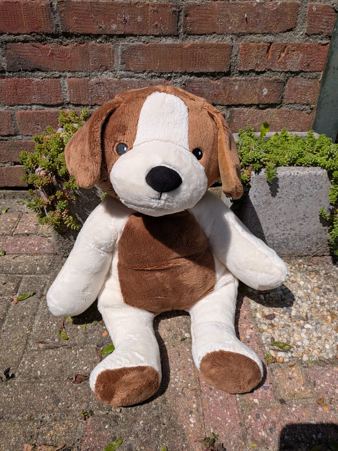 Customer photo review of Lotgenootje Panda 2kg