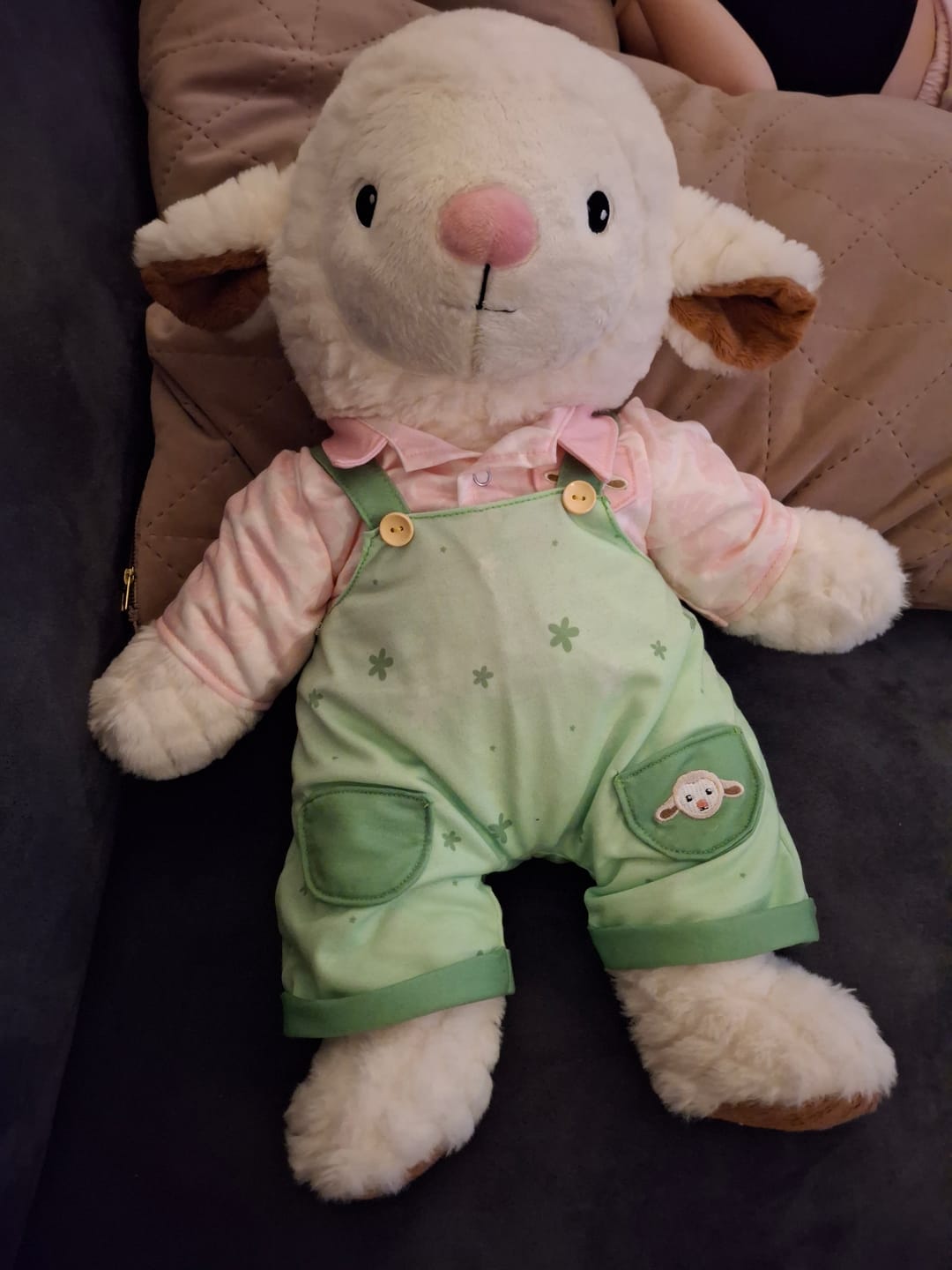Customer photo review of Schaap Kleding Zomer Lotgenootje