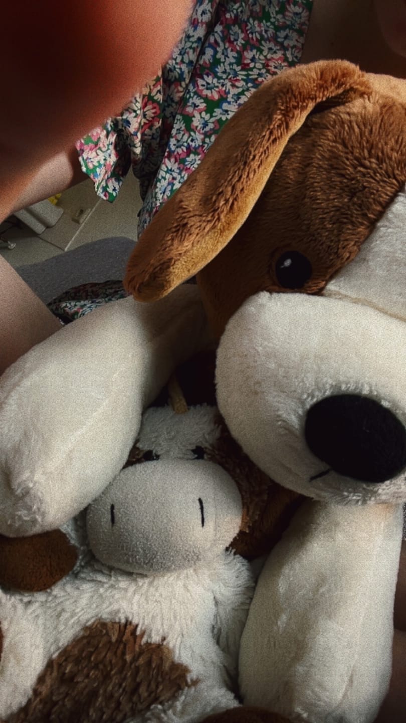 Customer photo review of Lotgenootje Koala 2kg