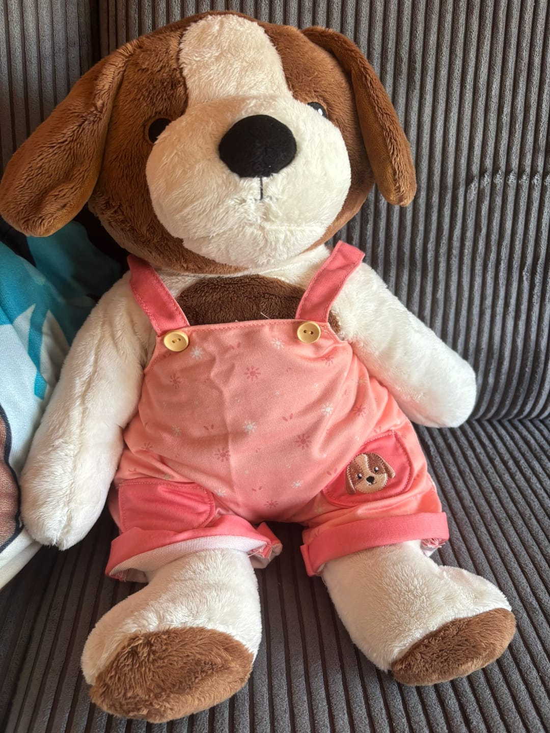 Customer photo review of Hond Kleding Lente Lotgenootje
