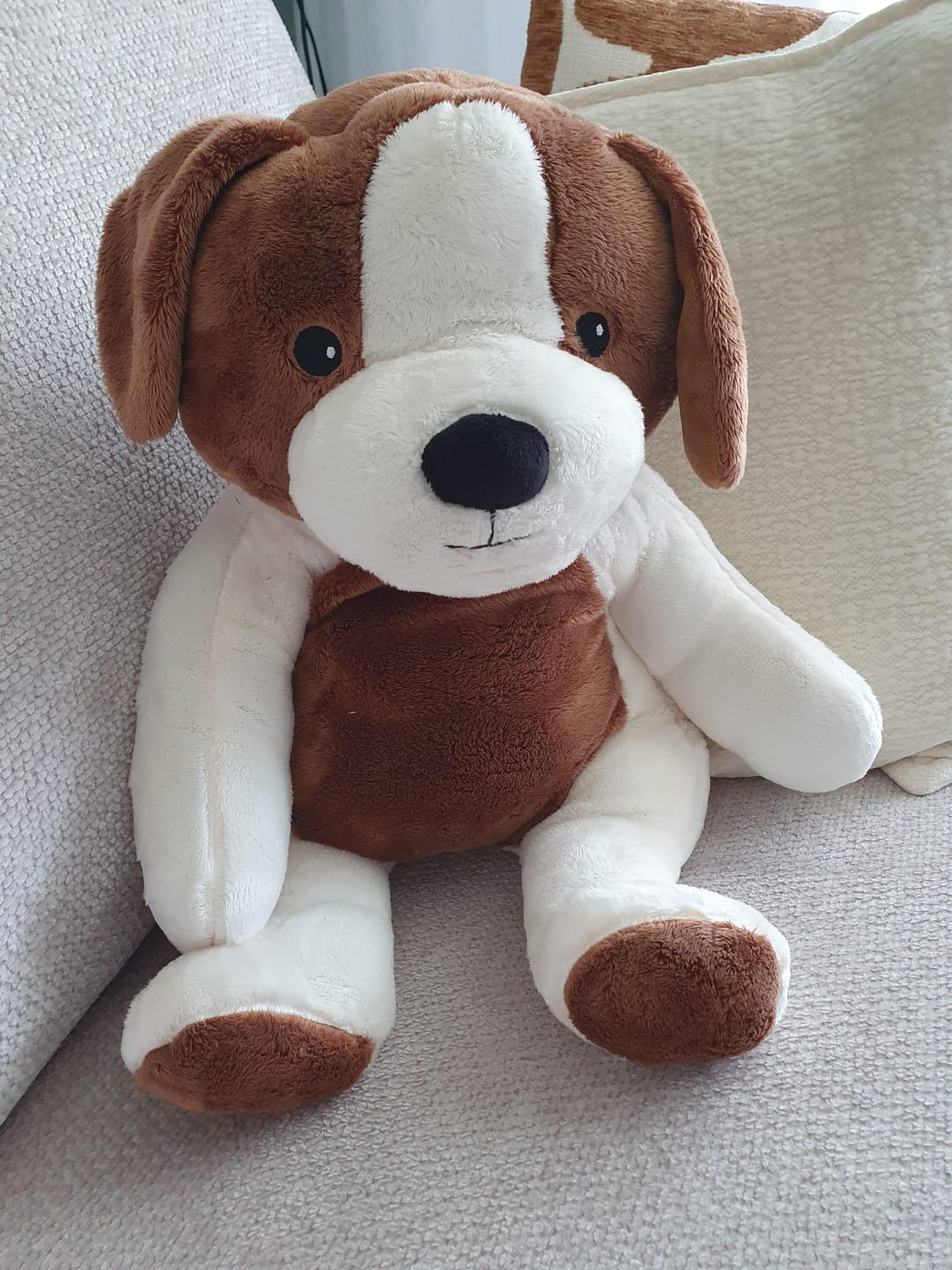 Customer photo review of Lotgenootje Hond 2kg