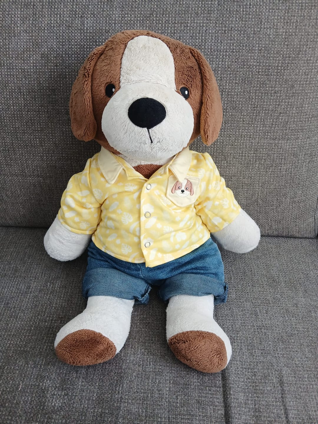 Customer photo review of Hond Kleding Zomer Lotgenootje