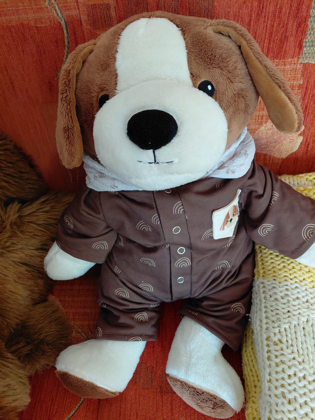 Customer photo review of Hond Kleding Origineel Lotgenootje