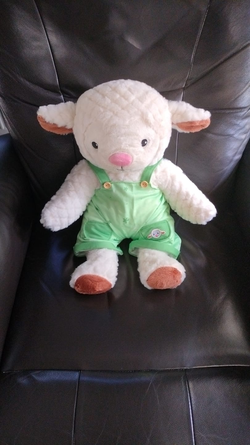 Customer photo review of Schaap Kleding Lente Lotgenootje