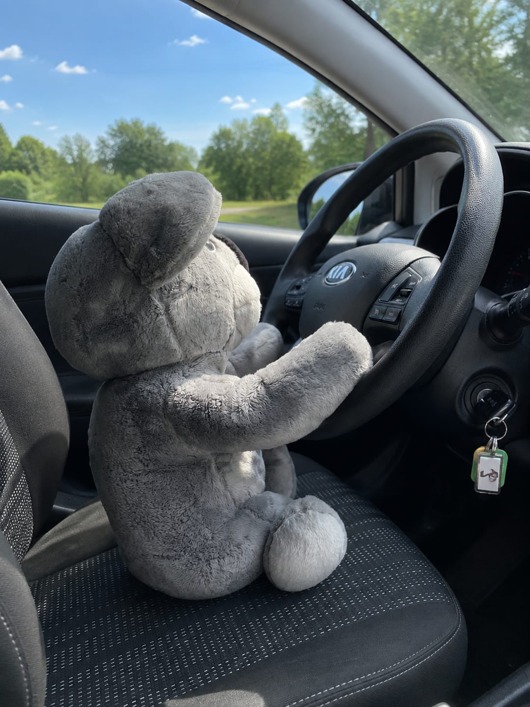 Customer photo review of Lotgenootje Koala 2kg